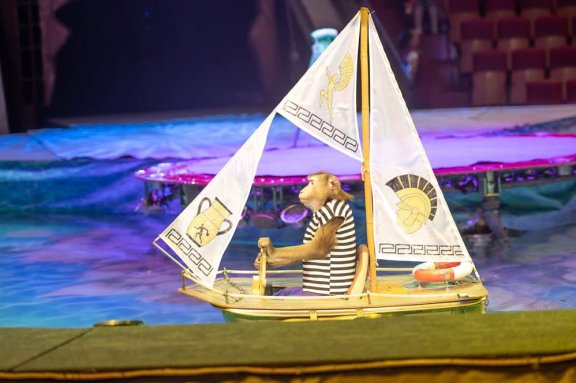 &TScy;&icy;&rcy;&kcy;&ocy;&vcy;&ocy;&jcy; &mcy;&yucy;&zcy;&icy;&kcy;&lcy; &ncy;&acy; &vcy;&ocy;&dcy;&iecy; &laquo;&Ocy;&dcy;&icy;&scy;&scy;&iecy;&yacy;&raquo;