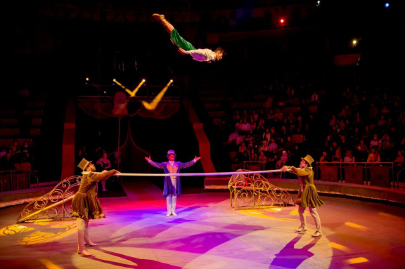 Елка в цирке