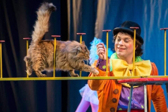 Волшебные кошки Куклачева