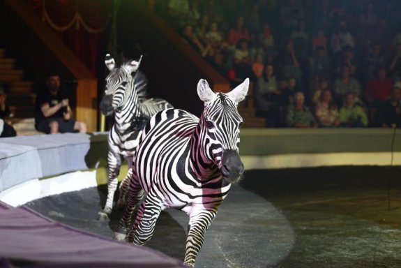 &Icy;&tcy;&acy;&lcy;&softcy;&yacy;&ncy;&scy;&kcy;&icy;&jcy; &tscy;&icy;&rcy;&kcy; "&Scy;&lcy;&ocy;&ncy;&ycy; &icy; &tcy;&icy;&gcy;&rcy;&ycy;"