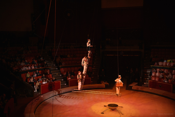 Елка в цирке