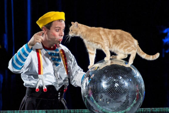 Волшебные кошки Куклачева