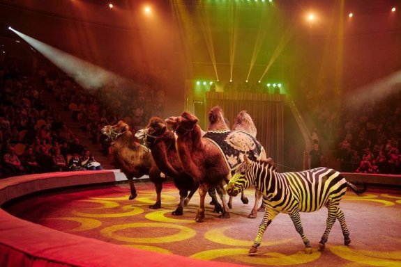 &Icy;&tcy;&acy;&lcy;&softcy;&yacy;&ncy;&scy;&kcy;&icy;&jcy; &tscy;&icy;&rcy;&kcy; "&Scy;&lcy;&ocy;&ncy;&ycy; &icy; &tcy;&icy;&gcy;&rcy;&ycy;"