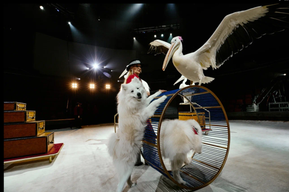 &TScy;&icy;&rcy;&kcy; &Fcy;&icy;&lcy;&acy;&tcy;&ocy;&vcy;&ycy;&khcy;