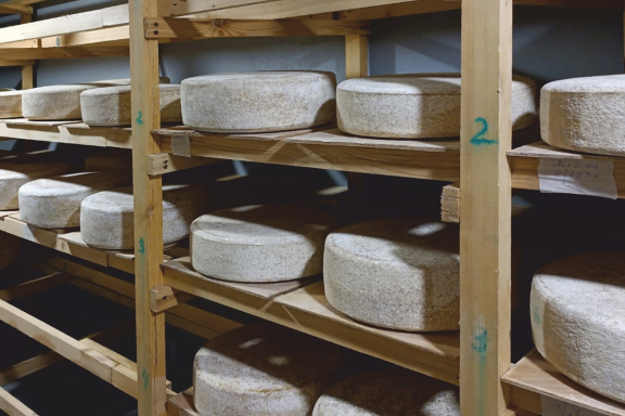 &Ecy;&kcy;&scy;&kcy;&ucy;&rcy;&scy;&icy;&yacy; &ncy;&acy; &scy;&ycy;&rcy;&ocy;&vcy;&acy;&rcy;&ncy;&yucy; "&Scy;&ycy;&rcy;&ncy;&icy;&kcy;"