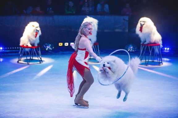 &TScy;&icy;&rcy;&kcy; &ncy;&acy; &lcy;&softcy;&dcy;&ucy; &laquo;&Acy;&jcy;&scy;&bcy;&iecy;&rcy;&gcy;&raquo;