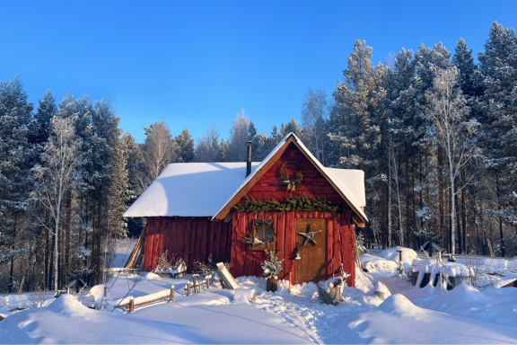 &ZHcy;&iecy;&ncy;&scy;&kcy;&icy;&jcy; &dcy;&iecy;&ncy;&softcy; &ncy;&acy; &laquo;&Tcy;&icy;&mcy;&ocy;&fcy;&iecy;&iecy;&vcy;&ocy;&jcy; &zcy;&iecy;&mcy;&lcy;&iecy;&raquo;