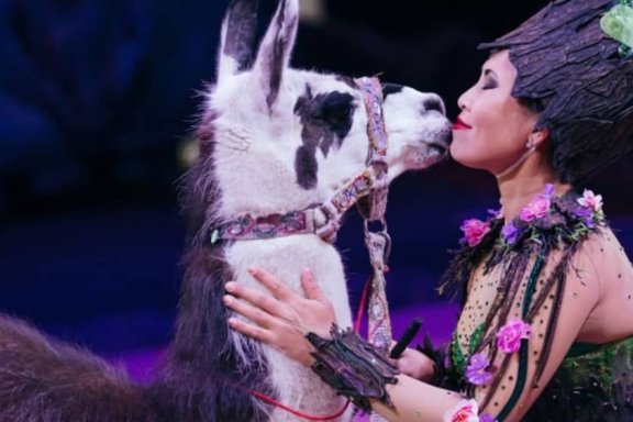 &Dcy;&iecy;&vcy;&ocy;&chcy;&kcy;&acy; &icy; &scy;&lcy;&ocy;&ncy;