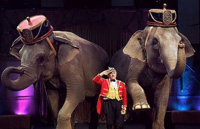 Итальянский цирк "Слоны и Тигры"