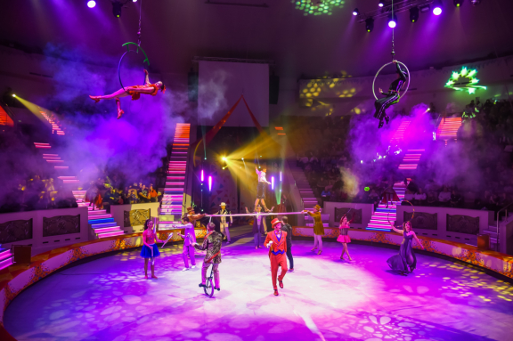 Елка в цирке