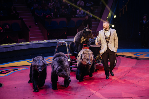 &TScy;&icy;&rcy;&kcy; &Fcy;&icy;&lcy;&acy;&tcy;&ocy;&vcy;&ycy;&khcy;