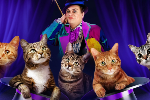 Волшебные кошки Куклачева