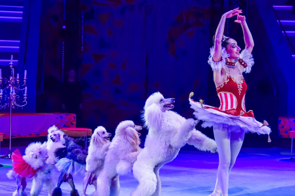 Елка в цирке