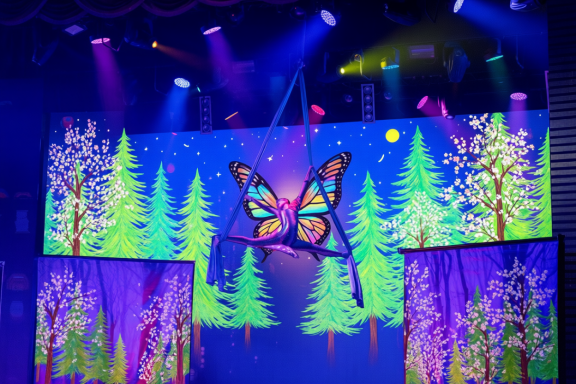 Цирковой спектакль "Алиса в Зазеркалье новогодних чудес"