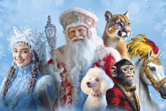 Елка в цирке