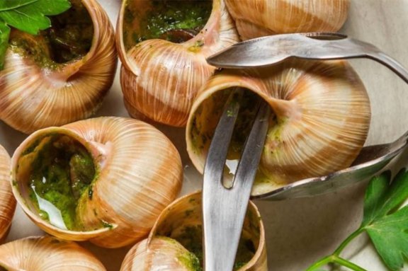 Гастротур на улиточную ферму