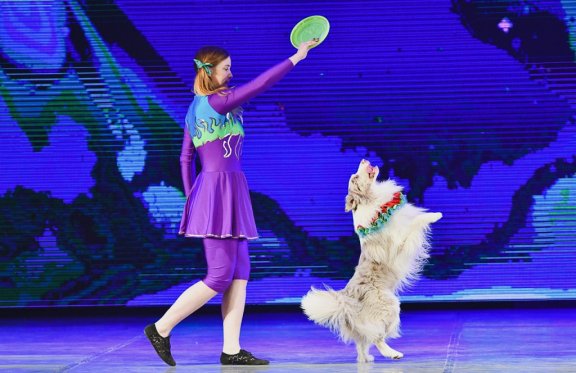 &IEcy;&kcy;&acy;&tcy;&iecy;&rcy;&icy;&ncy;&bcy;&ucy;&rcy;&gcy;&scy;&kcy;&icy;&jcy; &tscy;&icy;&rcy;&kcy; &Acy;&rcy;&lcy;&iecy;&kcy;&icy;&ncy;&ocy; &scy; &pcy;&rcy;&ocy;&gcy;&rcy;&acy;&mcy;&mcy;&ocy;&jcy; &laquo;&Ncy;&iecy;&scy;&kcy;&ucy;&chcy;&ncy;&ycy;&jcy; &tscy;&icy;&rcy;&kcy;&raquo;