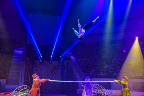 Елка в цирке