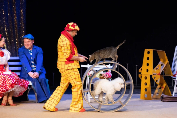 &Dcy;&mcy;&icy;&tcy;&rcy;&icy;&jcy; &Kcy;&ucy;&kcy;&lcy;&acy;&chcy;&iecy;&vcy;&period; &Scy;&pcy;&iecy;&kcy;&tcy;&acy;&kcy;&lcy;&softcy; &Kcy;&Ocy;&Tcy;&Ocy;&Bcy;&Ucy;&Mcy;&excl;