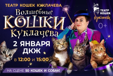 Волшебные кошки Куклачева