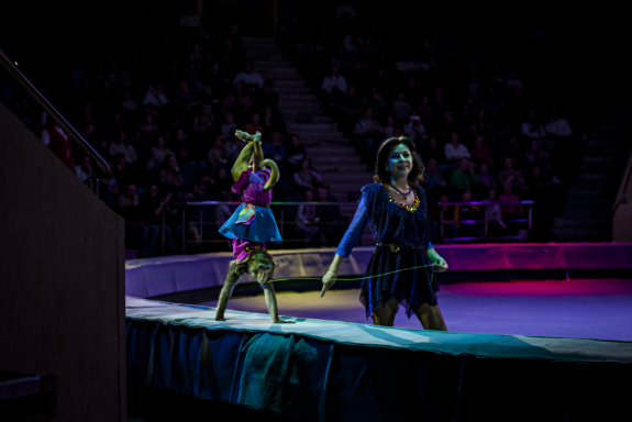 Елка в цирке