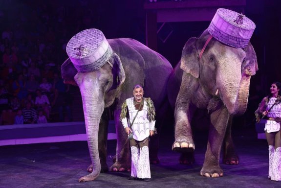 &Icy;&tcy;&acy;&lcy;&softcy;&yacy;&ncy;&scy;&kcy;&icy;&jcy; &tscy;&icy;&rcy;&kcy; "&Scy;&lcy;&ocy;&ncy;&ycy; &icy; &tcy;&icy;&gcy;&rcy;&ycy;"