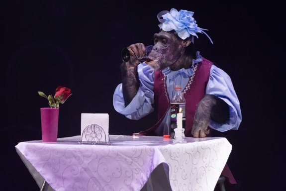 &TScy;&icy;&rcy;&kcy;&ocy;&vcy;&ocy;&jcy; &mcy;&yucy;&zcy;&icy;&kcy;&lcy; &ncy;&acy; &vcy;&ocy;&dcy;&iecy; &laquo;&Ocy;&dcy;&icy;&scy;&scy;&iecy;&yacy;&raquo;